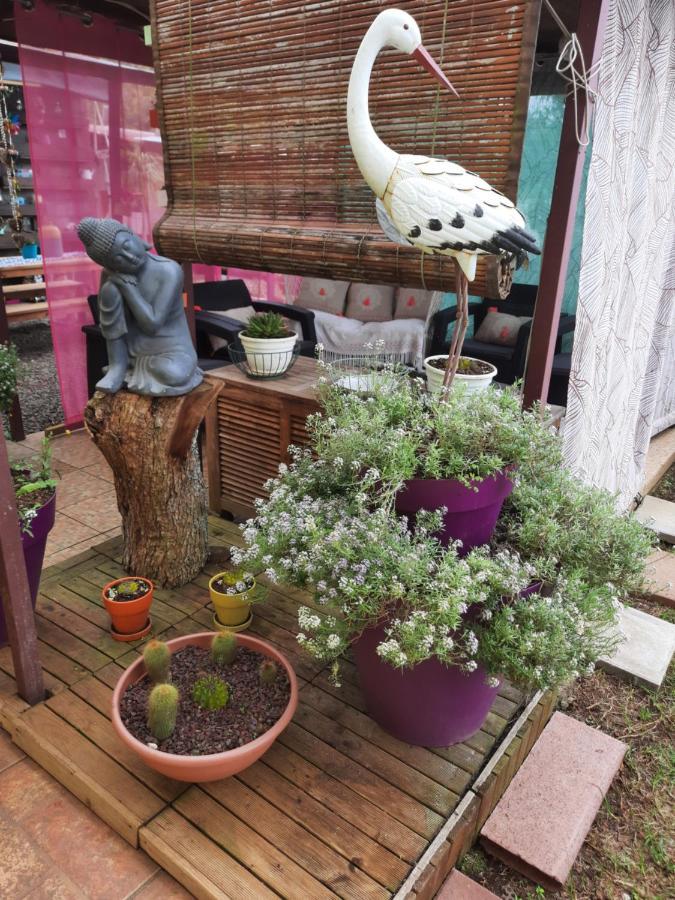 לה פלן דה קפרה Chambres Et Table D'Hote Les Hortensias מראה חיצוני תמונה